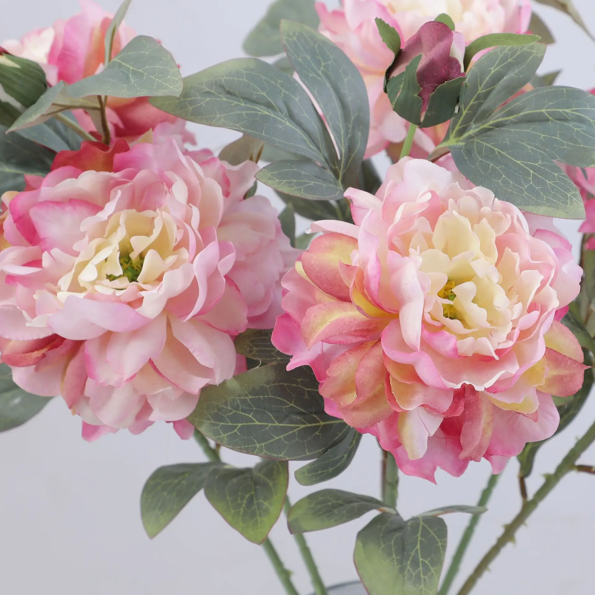 Artificial Peony Flower Single - đánh giá và giá Flower Wall Panel