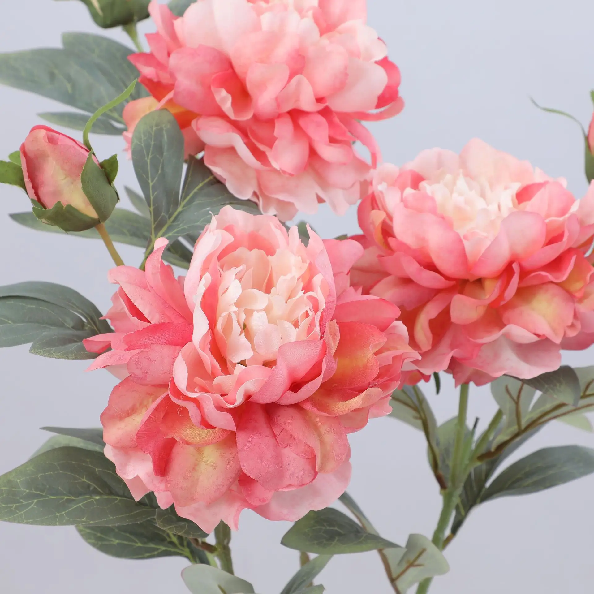 Artificial Peony Flower Single - đánh giá và giá Flower Wall Panel
