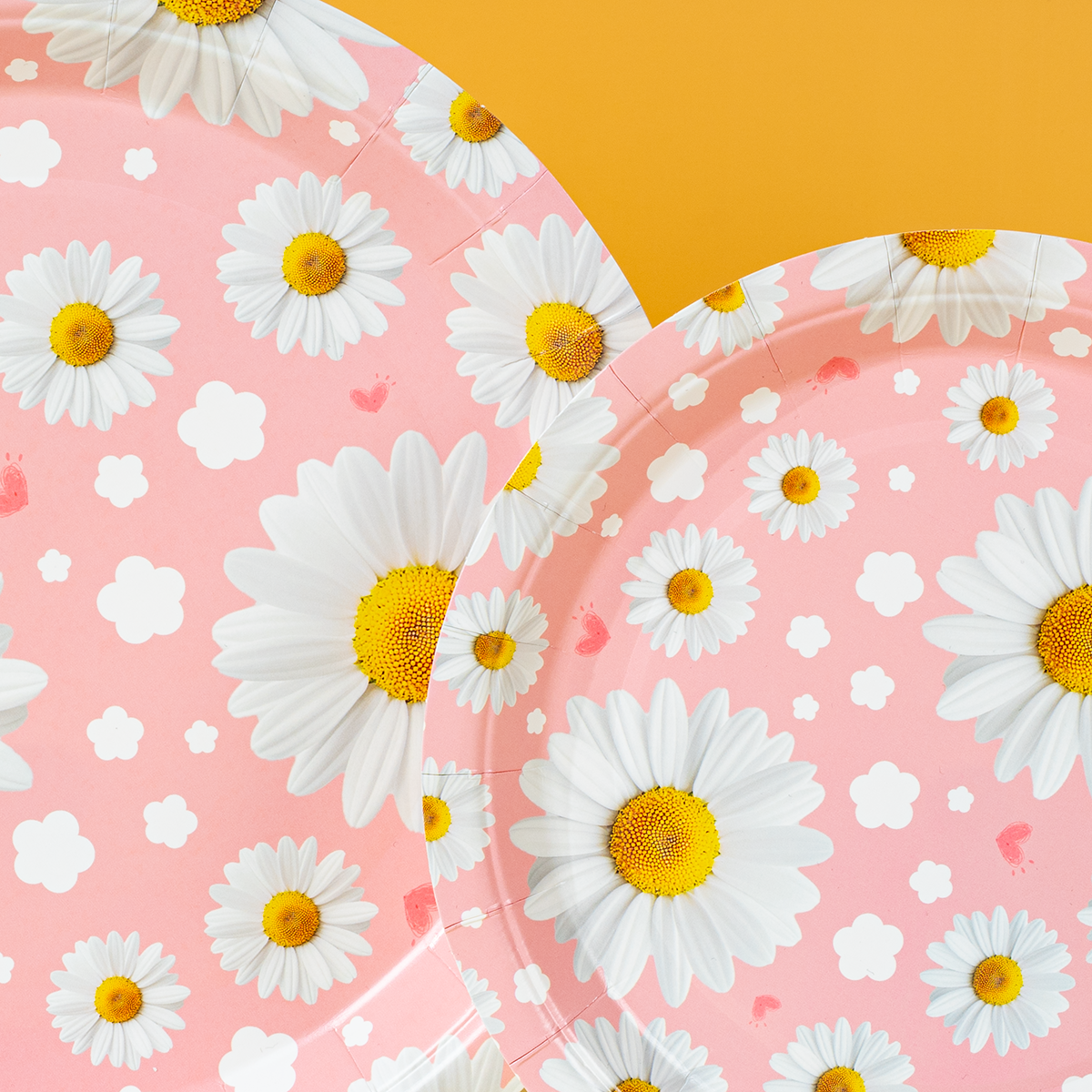 Pink Daisy Print Disposable Pa - đánh giá và giá Event Supplies